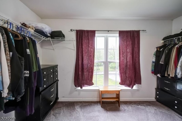902 Sprout Hill Rd, Hampton Twp, NJ 07860 - spacious closet featuring carpet