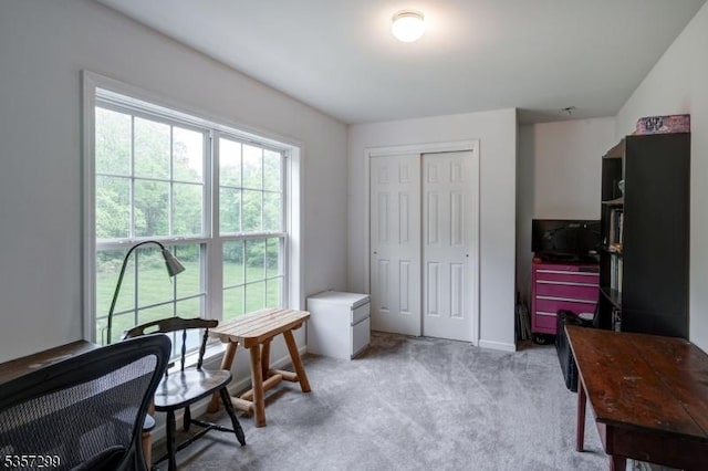 902 Sprout Hill Rd, Hampton Twp, NJ 07860 - office space featuring light carpet