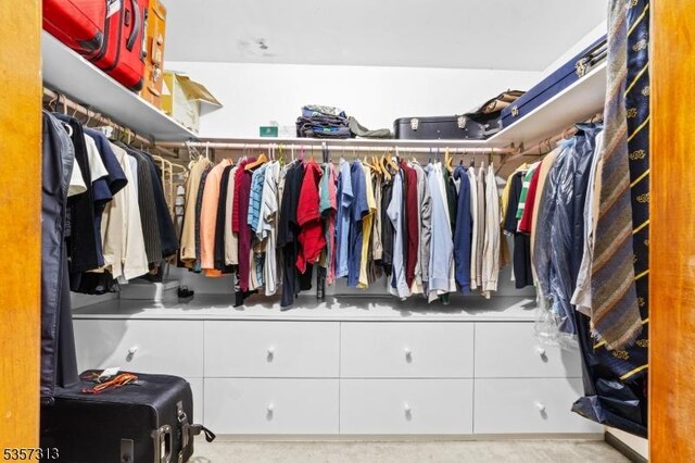 1602 Harbourton Rocktown Rd, Hopewell Twp, NJ 08530 - view of spacious closet