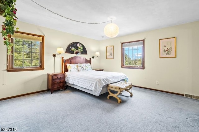 1602 Harbourton Rocktown Rd, Hopewell Twp, NJ 08530 - carpeted bedroom with multiple windows and baseboards