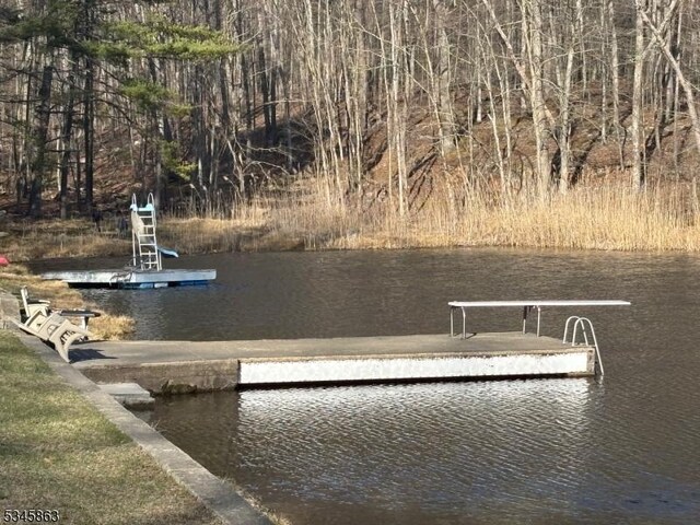dock featuring a water view