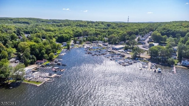 31 Cove Rd, Jefferson Twp, NJ 07849 - bird's eye view of a nearby body of water, a heavily wooded area, and numerous boat docks