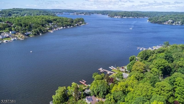 31 Cove Rd, Jefferson Twp, NJ 07849 - bird's eye view of a large body of water and a heavily wooded area
