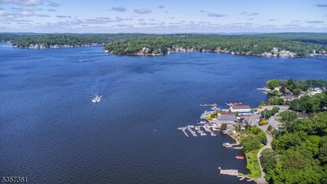 31 Cove Rd, Jefferson Twp, NJ 07849 - aerial view of a nearby body of water and a forest