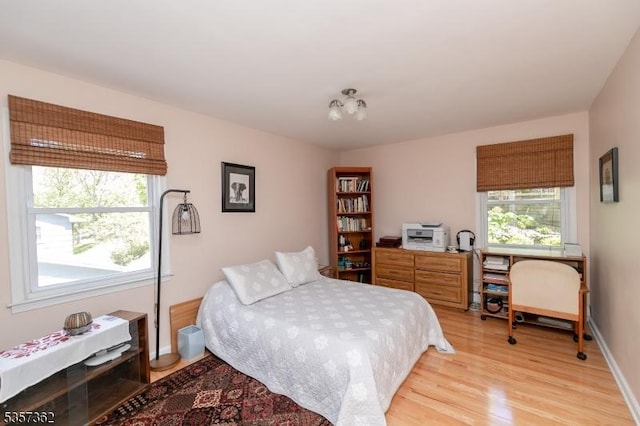 23 Horizon Dr, Roxbury Twp, NJ 07876 - bedroom with multiple windows, light wood finished floors, and baseboards