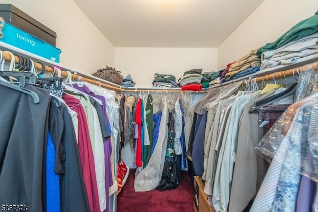 spacious closet with carpet