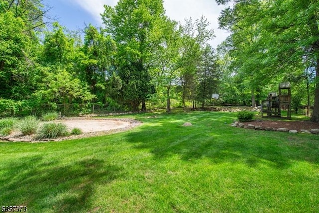 view of grassy yard