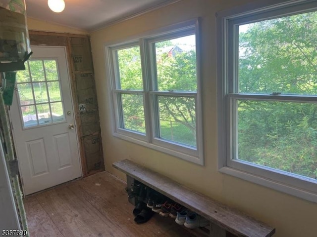 entryway featuring crown molding, healthy amount of natural light, wood finished floors, and vaulted ceiling