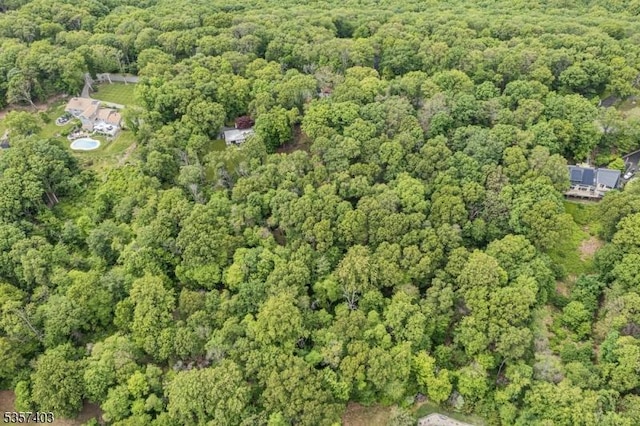 18 Ridge Rd, Tewksbury Twp, NJ 08833 - aerial view of property and surrounding area with a heavily wooded area