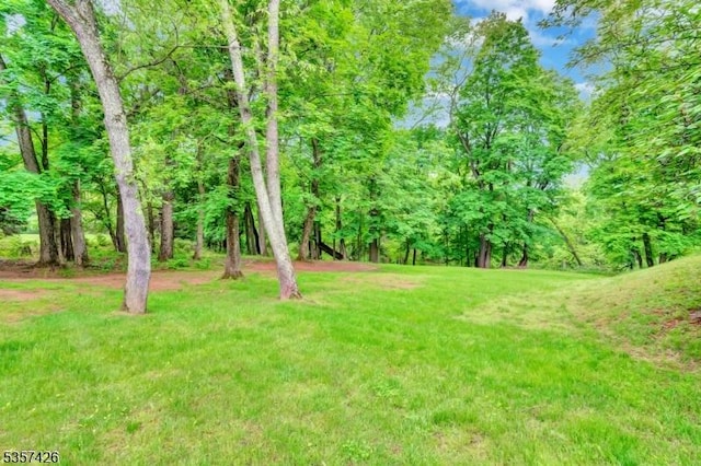 10 Hunts Mill Rd, Clinton Town, NJ 08809 - view of grassy yard