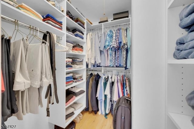 19 Bennington Dr, Mount Olive Twp, NJ 07836 - spacious closet with wood finished floors