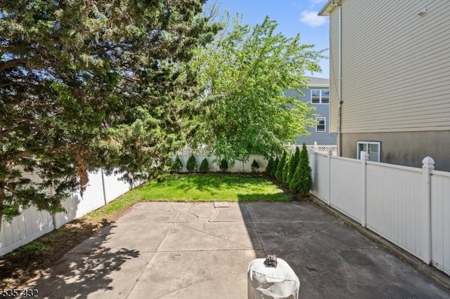 234 Lt Glenn Zamorski Dr, Elizabeth City, NJ 07206 - view of patio / terrace