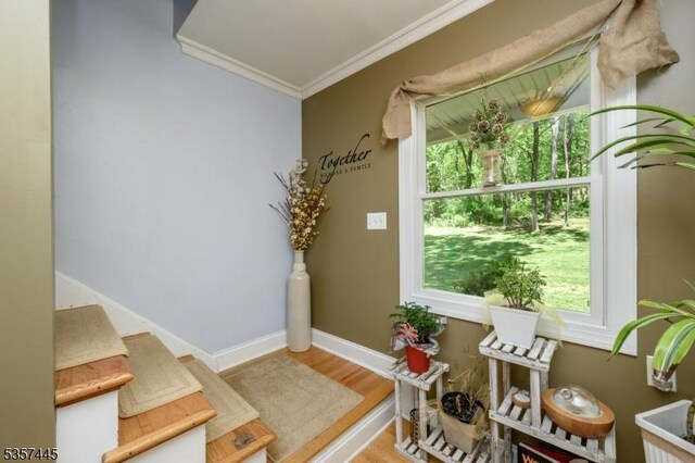 49 Sliker Rd, Lebanon Twp, NJ 08826 - doorway to outside with crown molding, wood finished floors, and baseboards