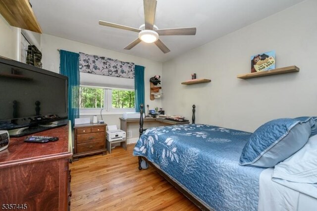 49 Sliker Rd, Lebanon Twp, NJ 08826 - bedroom with light wood finished floors and ceiling fan