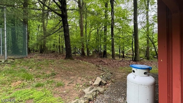 10 Deerpath Rd, Lebanon Twp, NJ 07830 - view of yard with a forest view