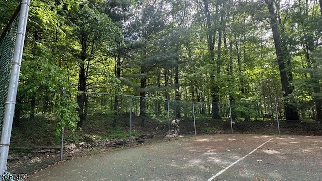 10 Deerpath Rd, Lebanon Twp, NJ 07830 - exterior space
