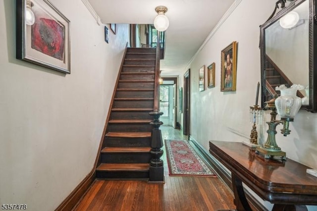 19 E Mill Rd, Washington Twp, NJ 07853 - stairs with wood-type flooring, ornamental molding, and baseboards