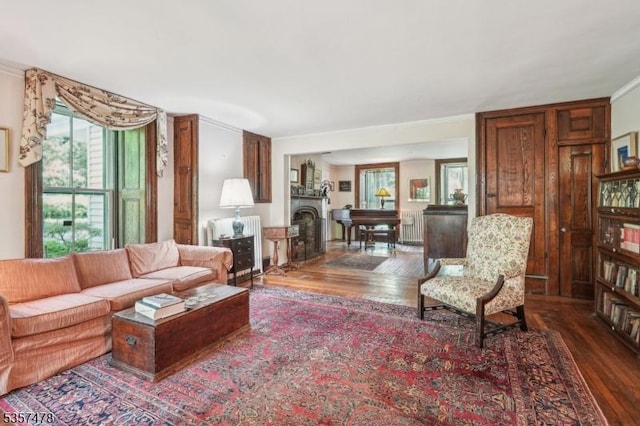 19 E Mill Rd, Washington Twp, NJ 07853 - living area featuring wood finished floors, crown molding, a fireplace, and radiator heating unit