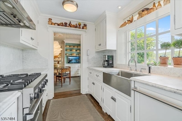 167 Lake End Rd, Rockaway Twp, NJ 07435 - kitchen featuring custom exhaust hood, stainless steel stove, a sink, light countertops, and crown molding