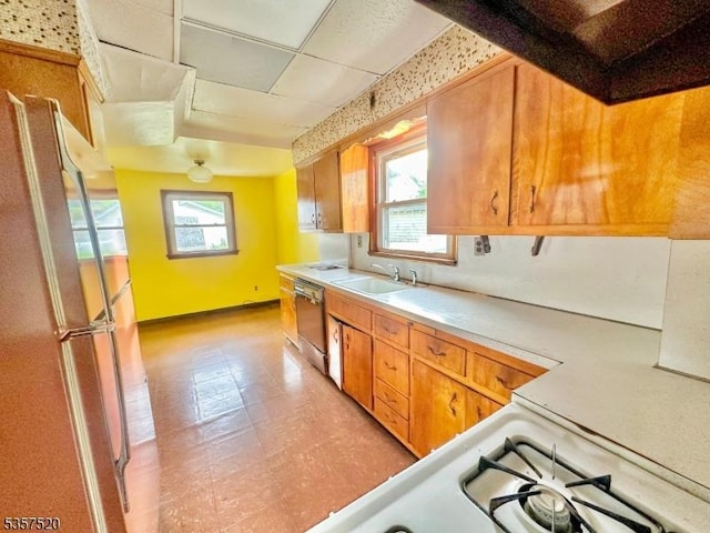 kitchen featuring dishwasher, a sink, freestanding refrigerator, and plenty of natural light
