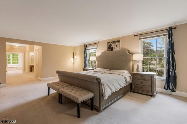 102 Independence Dr, Bernards Twp, NJ 07920 - bedroom featuring light carpet, baseboards, and ensuite bath