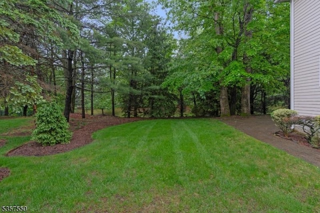 102 Independence Dr, Bernards Twp, NJ 07920 - view of green lawn