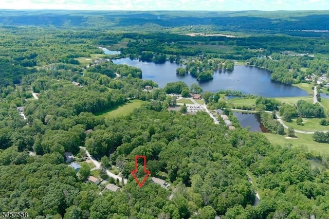 229 Old Chimney Ridge Rd, Montague Twp, NJ 07827