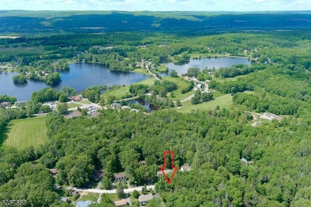 229 Old Chimney Ridge Rd, Montague Twp, NJ 07827