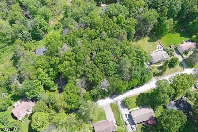 229 Old Chimney Ridge Rd, Montague Twp, NJ 07827