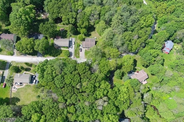229 Old Chimney Ridge Rd, Montague Twp, NJ 07827