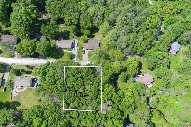 229 Old Chimney Ridge Rd, Montague Twp, NJ 07827