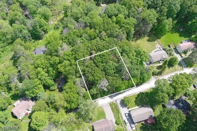 229 Old Chimney Ridge Rd, Montague Twp, NJ 07827