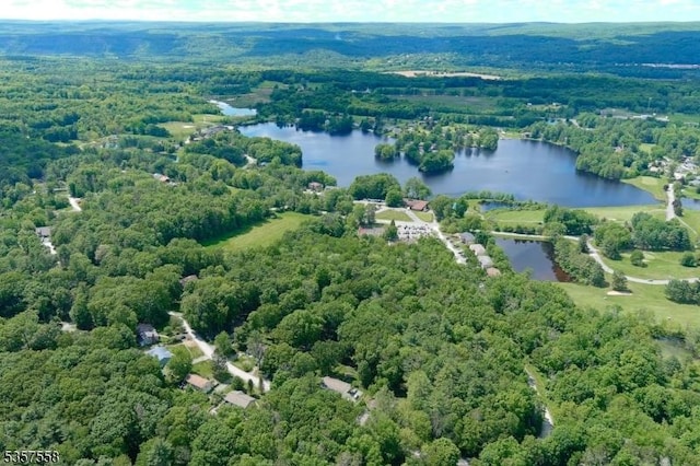 229 Old Chimney Ridge Rd, Montague Twp, NJ 07827