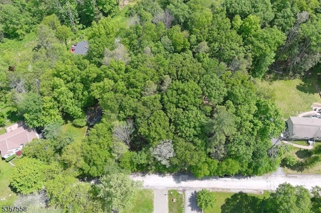 229 Old Chimney Ridge Rd, Montague Twp, NJ 07827