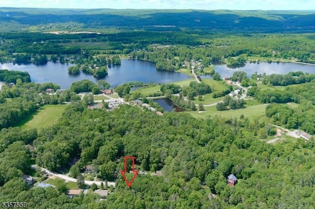 229 Old Chimney Ridge Rd, Montague Twp, NJ 07827
