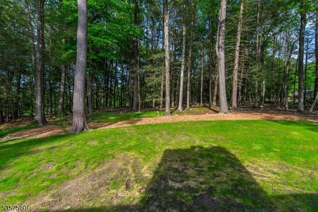 113 Spook Ridge Rd, Montague Twp, NJ 07827 - view of green lawn featuring a forest view