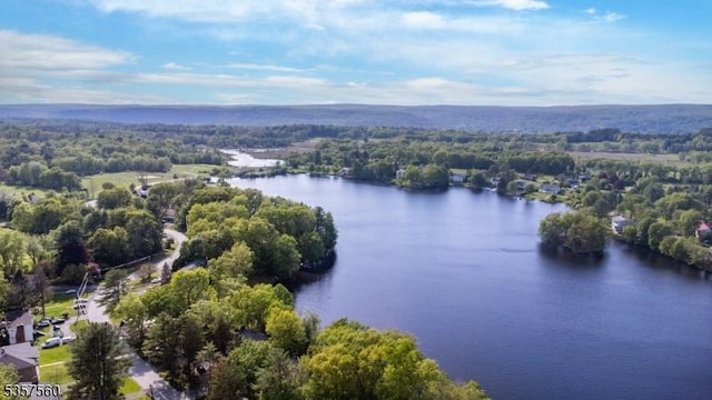 113 Spook Ridge Rd, Montague Twp, NJ 07827 - aerial view of a nearby body of water and a forest