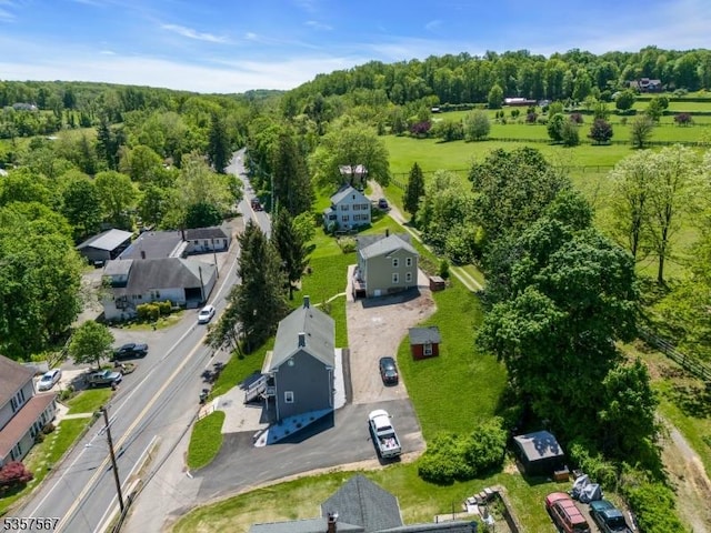 392 Pittstown Rd, Franklin Twp, NJ 08867 - bird's eye view of a forest