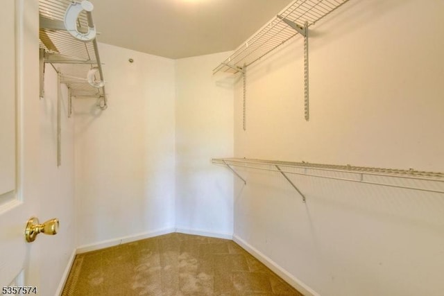16 Swing Bridge Ln, South Bound Brook Boro, NJ 08880 - walk in closet with carpet