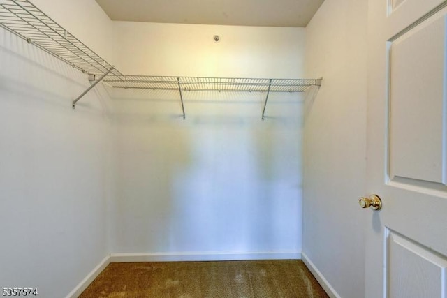 16 Swing Bridge Ln, South Bound Brook Boro, NJ 08880 - spacious closet with carpet flooring