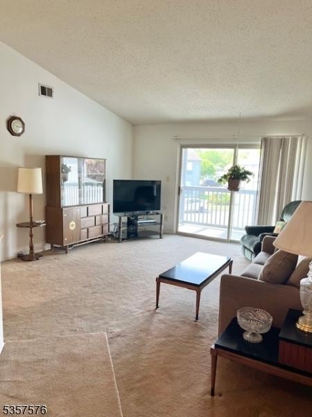 189 Drake Ln, Roxbury Twp, NJ 07852 - carpeted living area with a textured ceiling and lofted ceiling