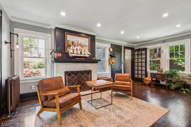 living area with radiator, crown molding, wood finished floors, a brick fireplace, and recessed lighting