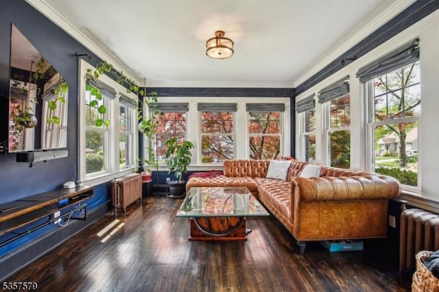 sunroom / solarium with radiator heating unit, healthy amount of natural light, wood finished floors, and crown molding