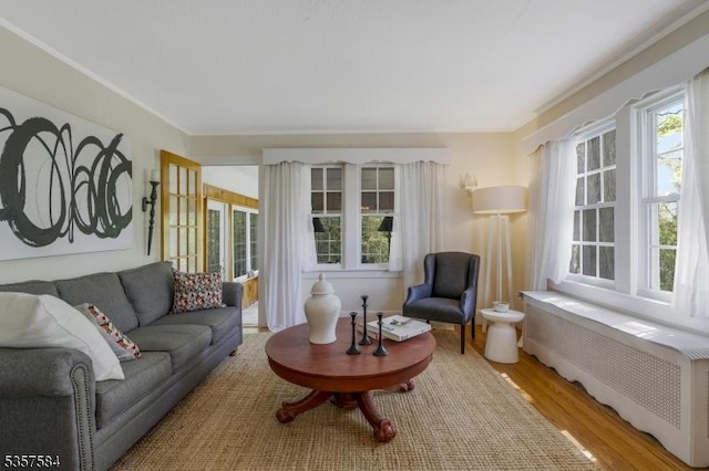 living room with radiator and wood finished floors