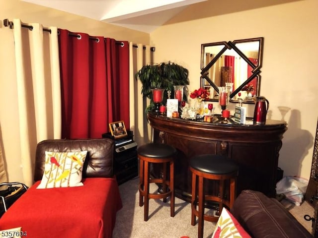 115 Seminole Rd Unit 115, Andover Twp, NJ 07848 - bar area with carpet flooring