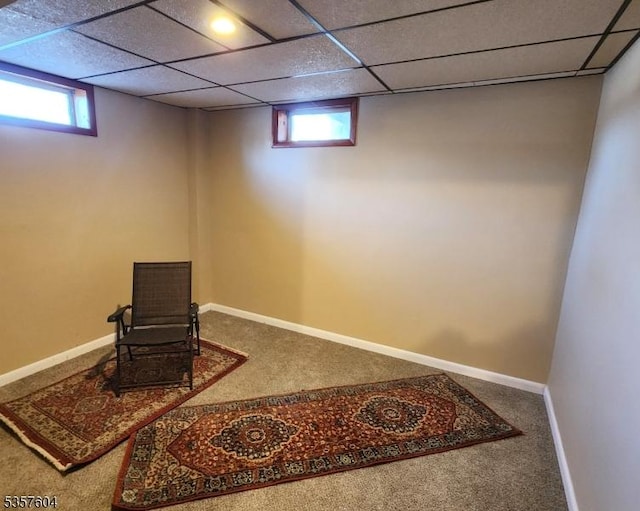 115 Seminole Rd Unit 115, Andover Twp, NJ 07848 - basement featuring carpet, healthy amount of natural light, a paneled ceiling, and baseboards