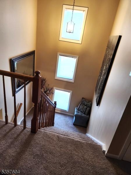 115 Seminole Rd Unit 115, Andover Twp, NJ 07848 - stairs featuring carpet floors and a towering ceiling