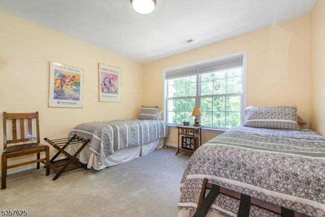 10 Cooper Ln, Long Hill Twp, NJ 07946 - view of carpeted bedroom