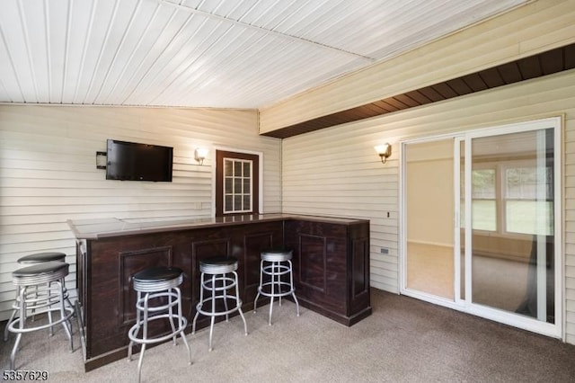 indoor dry bar featuring carpet floors, wooden walls, and wood ceiling