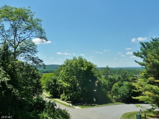 view of mountain background with a heavily wooded area